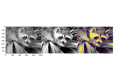 ../../_images/sphx_glr_plot_display_face_thumb.png